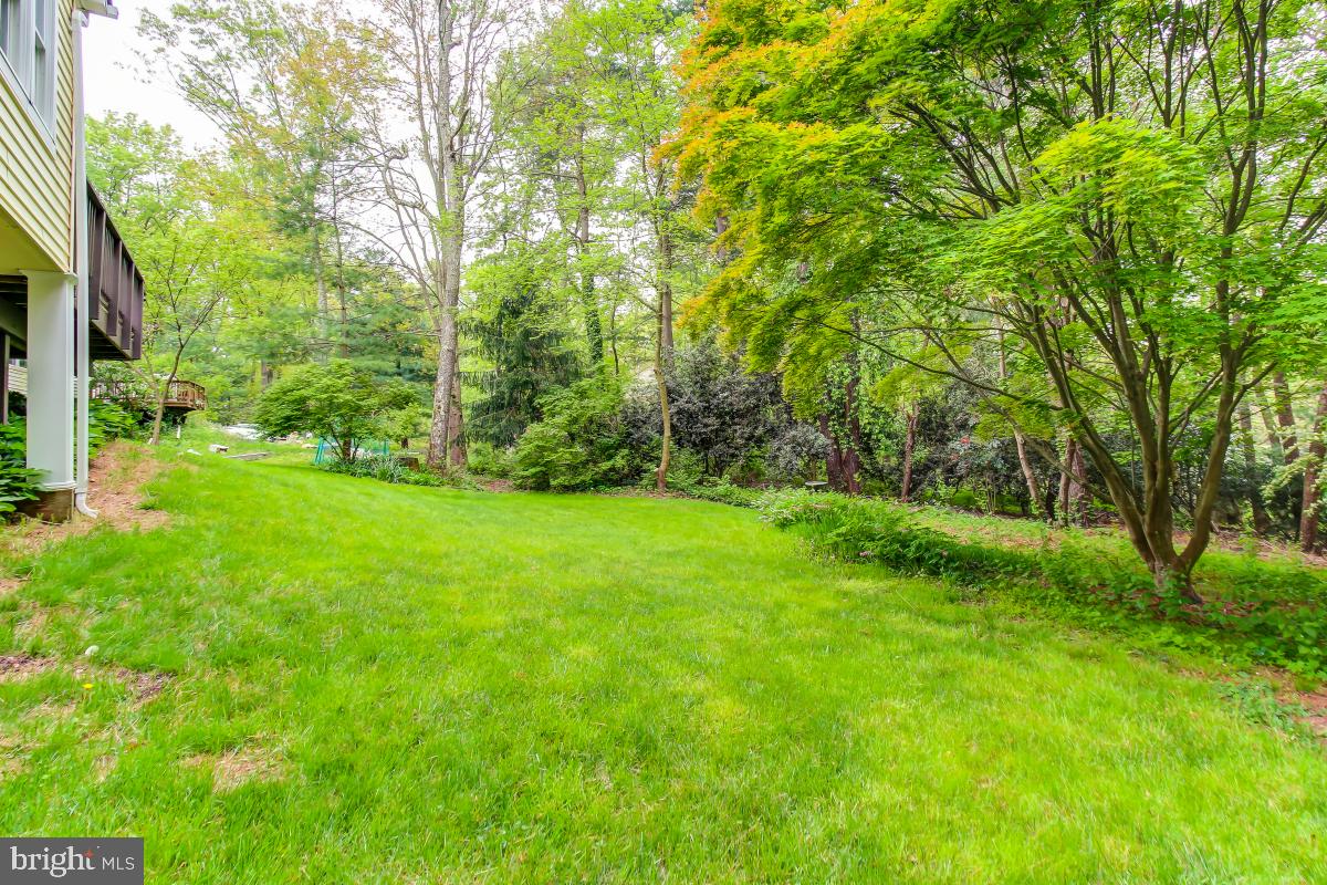 1808 Post Oak Trail Reston, VA 20191 - Photo 51 of 51 Backyard View with Serene Western Exposure