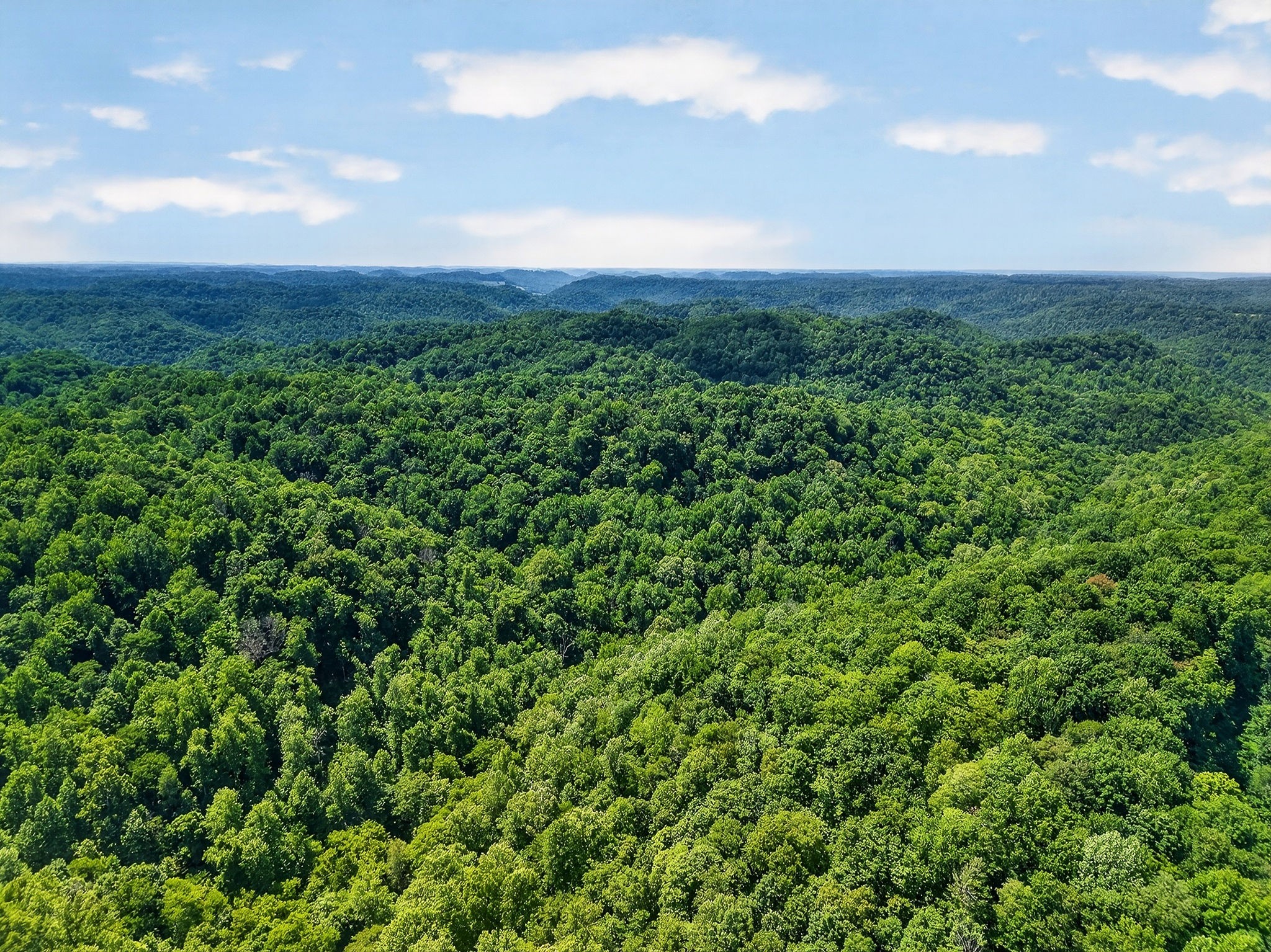 2926 Bryant Ridge Road Baxter, TN 38544 - Photo 57 of 64