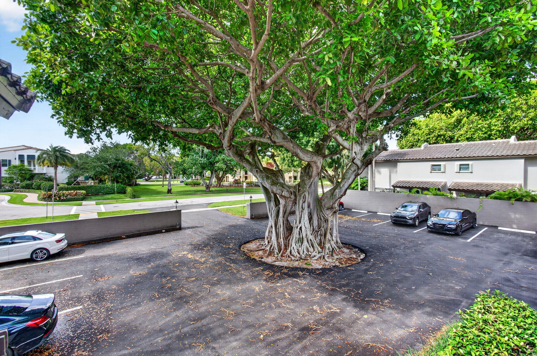 149 Northwest 70th Street, Unit 214C Boca Raton, FL 33487 - Photo 25 of 26 69-web-or-mls-DSC_5730