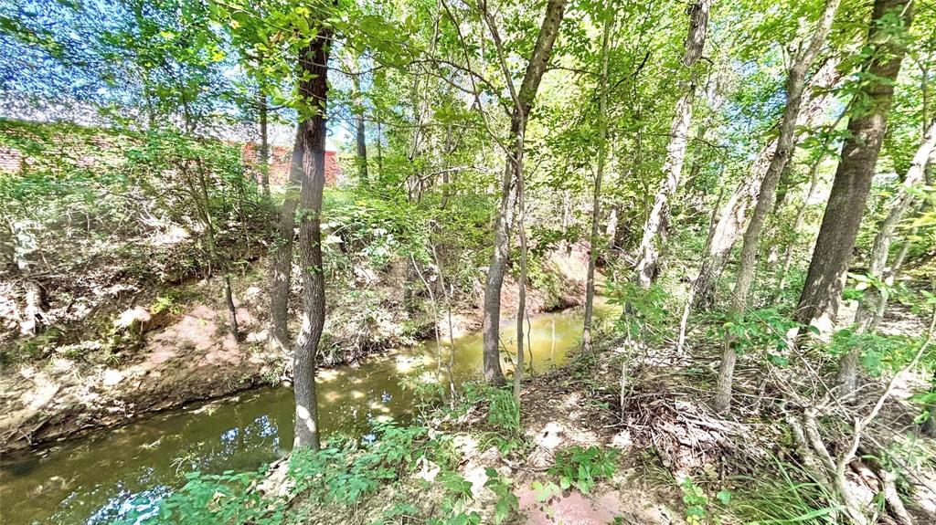 680 Choctaw Quitman, TX 75783 - Photo 4 of 33 a backyard of a house with lots of trees