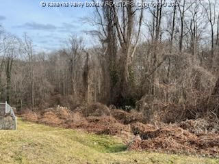 0 Ravinia Road Charleston, WV 25314 - Photo 6 of 6 Gallery Image 6