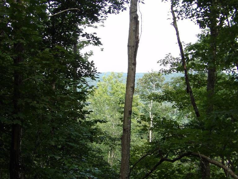 82 Ben Baker Road Somerset, KY 42501 - Photo 24 of 44 KODAK Digital Still Camera
