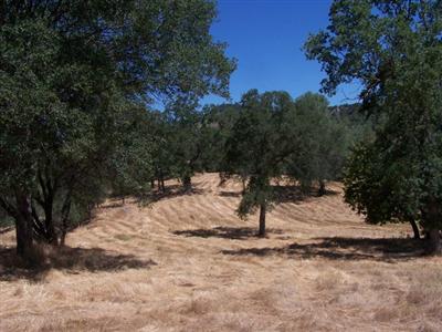 4461 Ching Road Mariposa, CA 95338 - Photo 1 of 6 Gallery Image 1