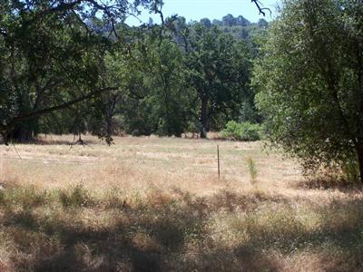 4461 Ching Road Mariposa, CA 95338 - Photo 5 of 6 Gallery Image 5