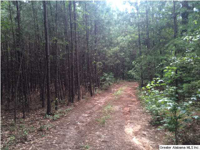 Frog Level Road, Unit 14 West Blocton, AL 35184 - Photo 5 of 10
