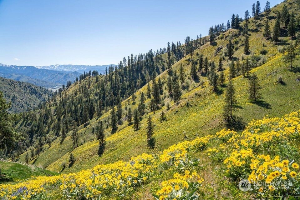 6734 Nahahum Canyon Road Cashmere, WA 98815 - Photo 23 of 32 a view of a yard with an ocean view