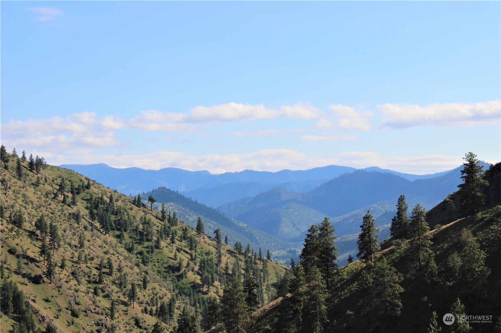 6734 Nahahum Canyon Road Cashmere, WA 98815 - Photo 26 of 32 an aerial view of mountain with trees