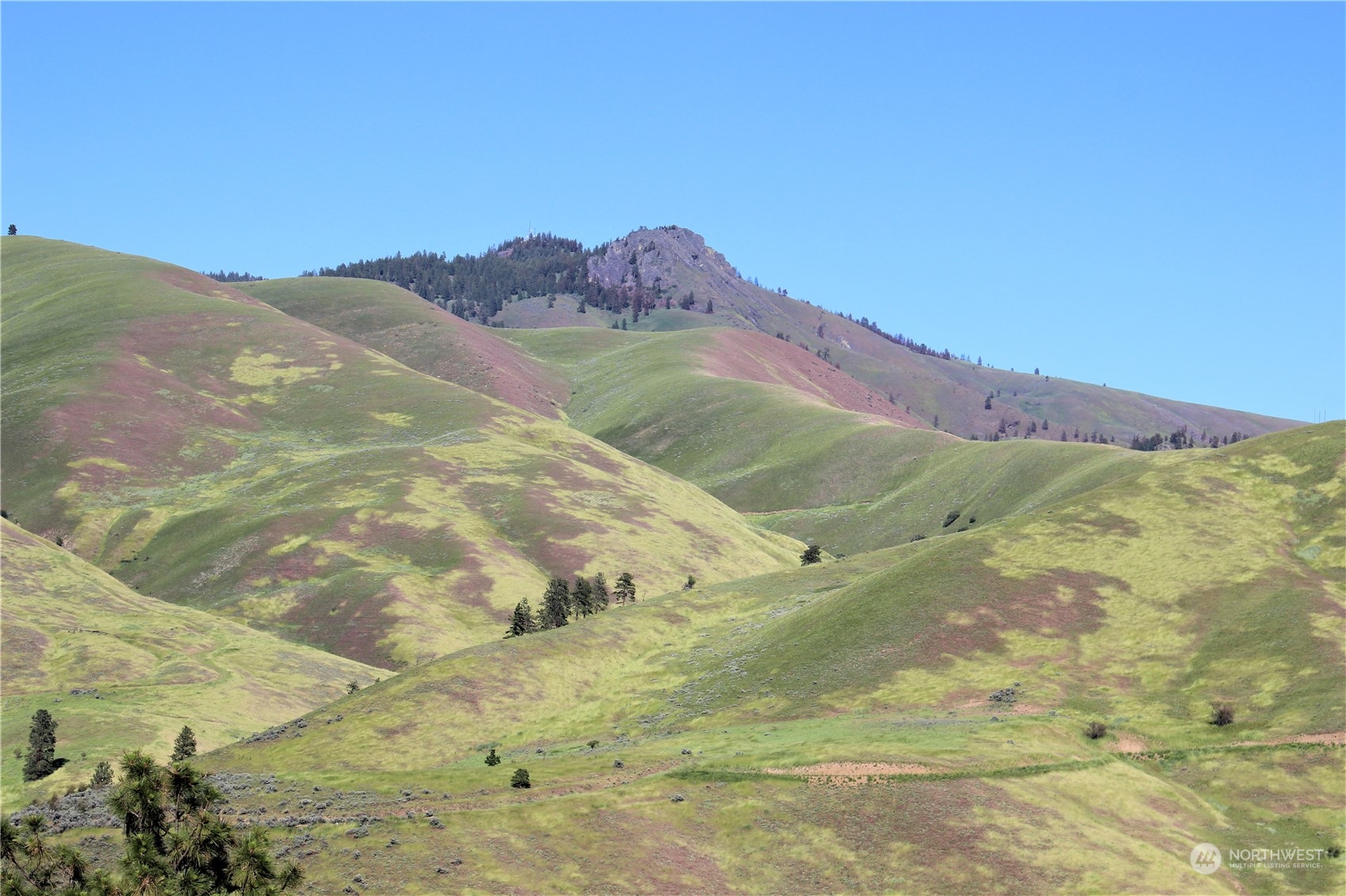 6734 Nahahum Canyon Road Cashmere, WA 98815 - Photo 28 of 32 a view of mountains and valleys