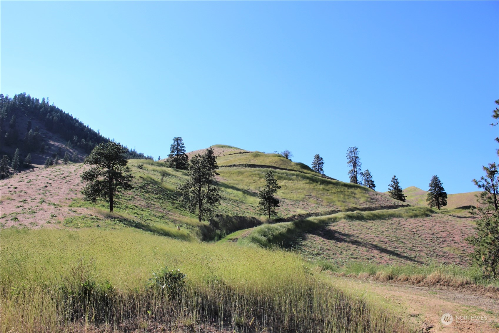 6734 Nahahum Canyon Road Cashmere, WA 98815 - Photo 29 of 32 a view of ocean view with beach
