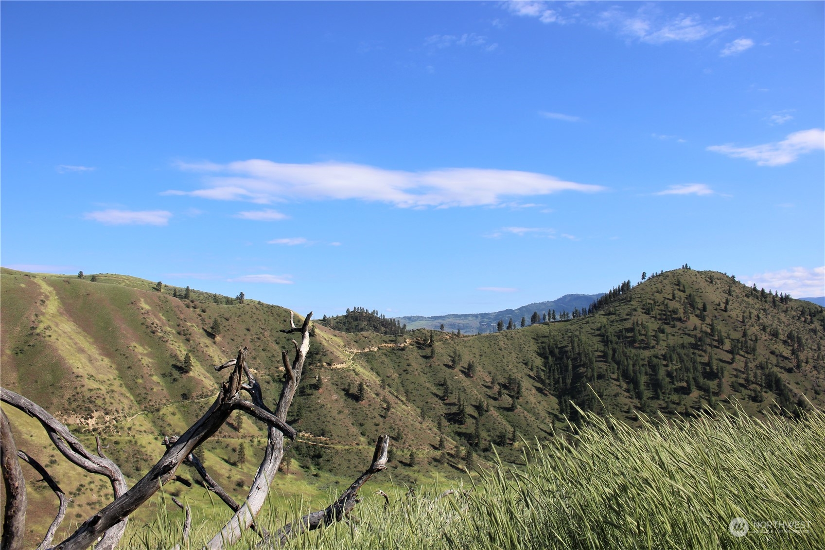 6734 Nahahum Canyon Road Cashmere, WA 98815 - Photo 30 of 32 a view of a mountain