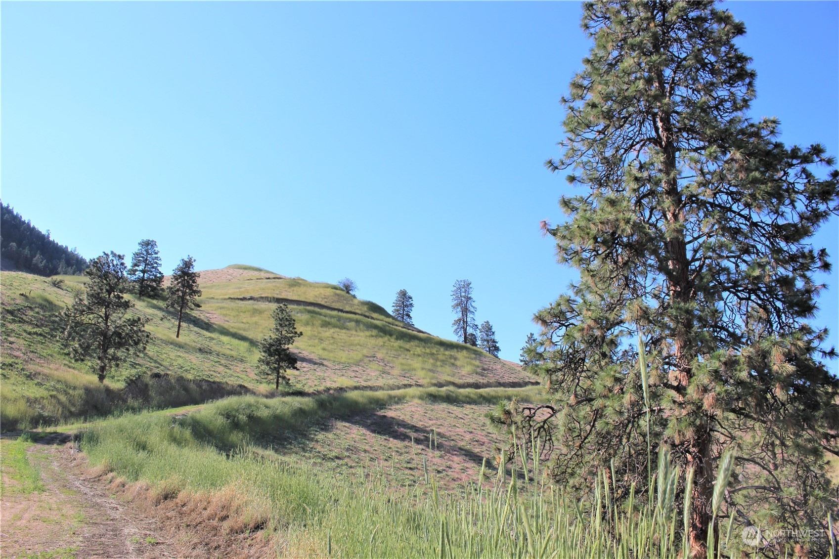 6734 Nahahum Canyon Road Cashmere, WA 98815 - Photo 32 of 32 a view of a lake and mountain