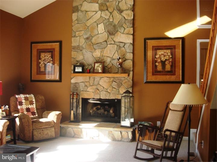776 McKendimen Road Shamong, NJ 08088 - Photo 9 of 25 Fireplace