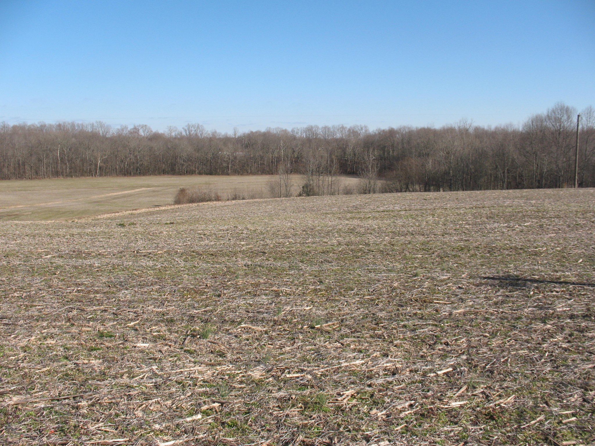 0 Lewis Road Morrison, TN 37357 - Photo 1 of 15 a view of a field with trees in the background