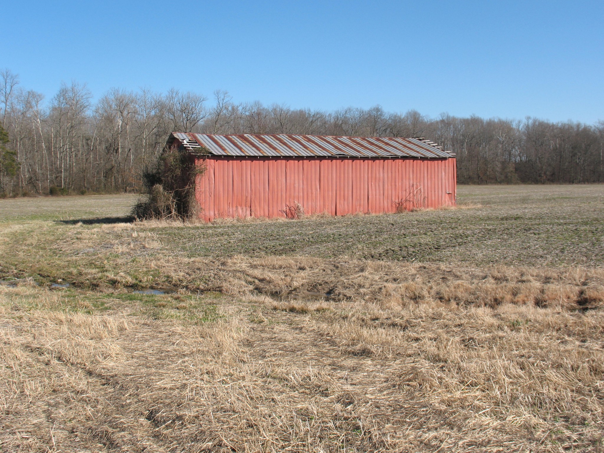 0 Lewis Road Morrison, TN 37357 - Photo 4 of 15 a view of a yard