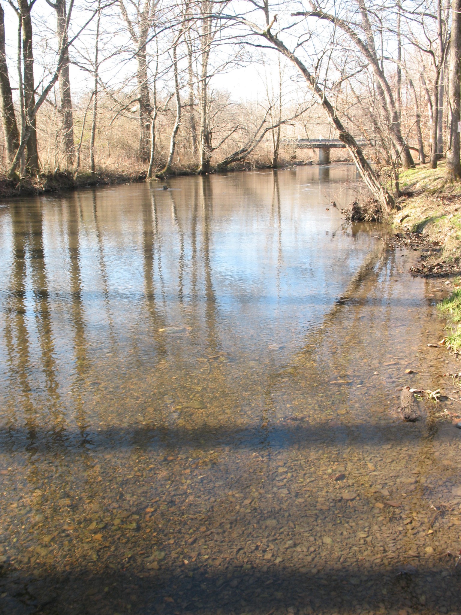0 Lewis Road Morrison, TN 37357 - Photo 6 of 15 a view of a lake view