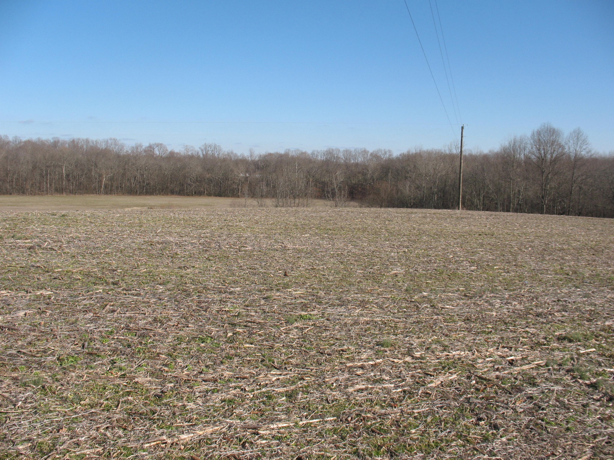 0 Lewis Road Morrison, TN 37357 - Photo 9 of 15 a view of an outdoor space and a yard