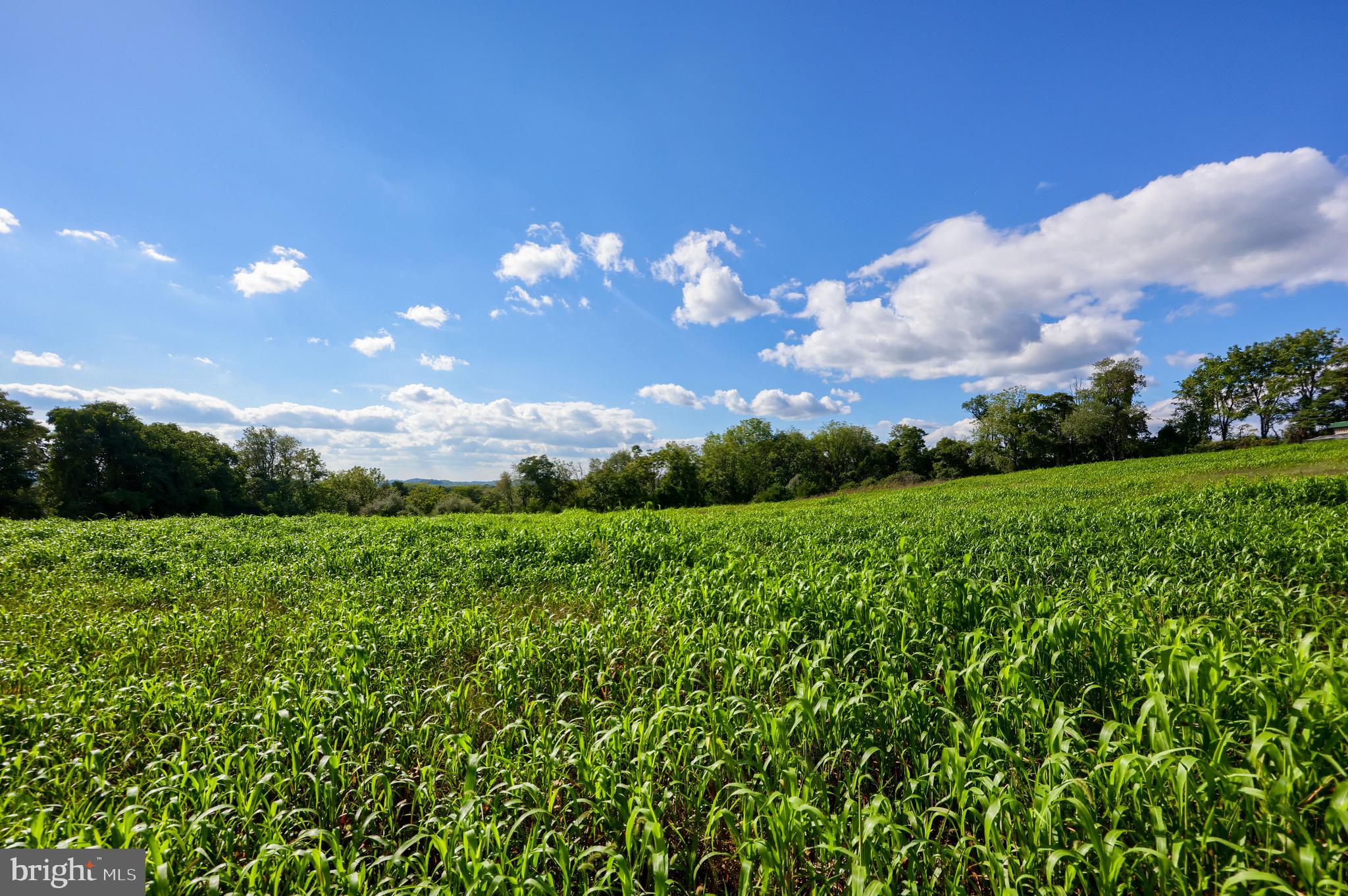 20 Hill Road Bernville, PA 19506 - Photo 41 of 50 Backyard view of field