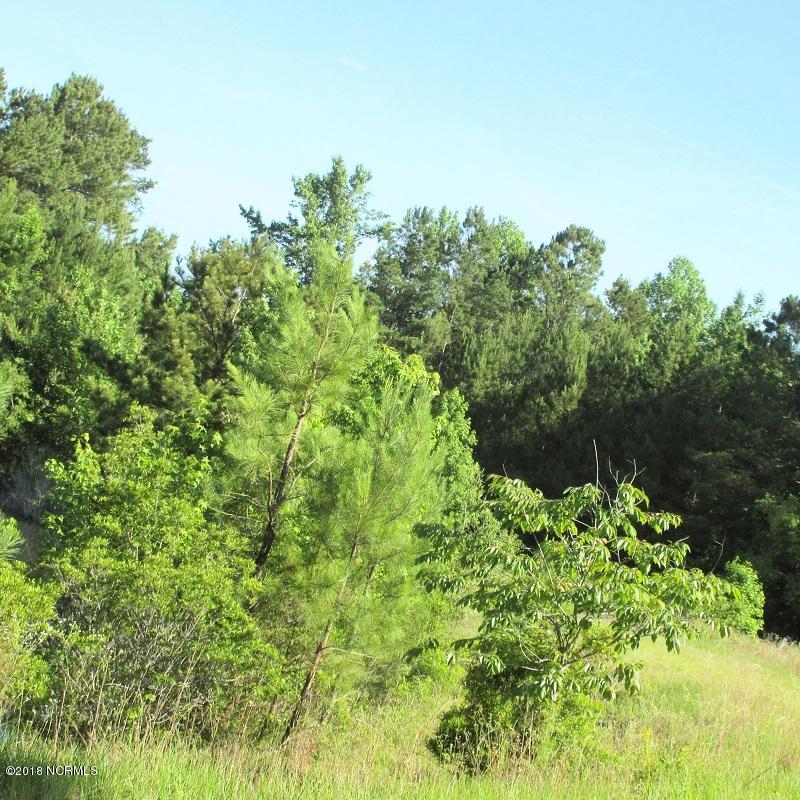 0 Rhyne Road Watha, NC 28478 - Photo 1 of 1 front
