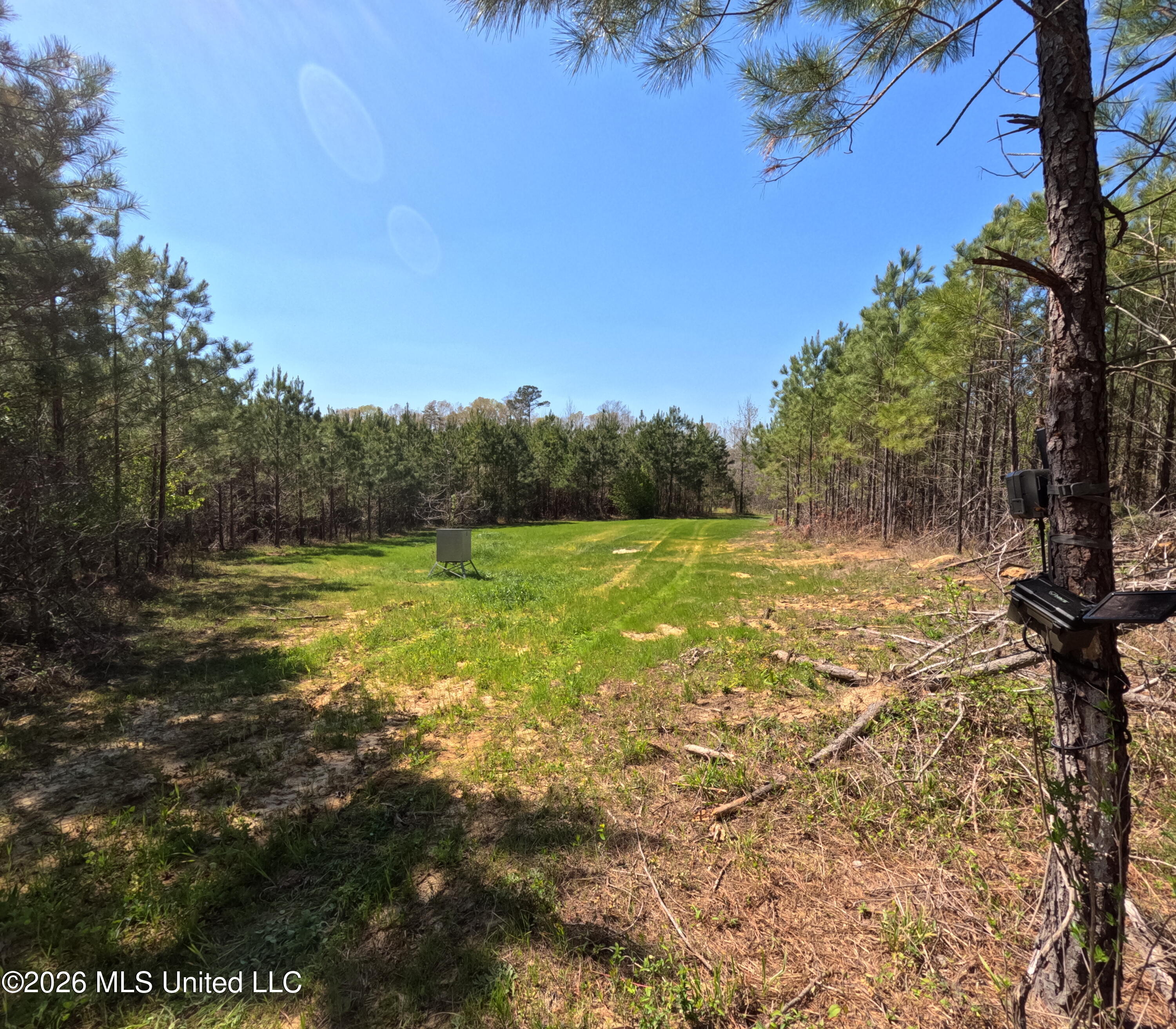 17565 Ms-27 Utica, MS 39175 - Photo 6 of 44 GOPR2173