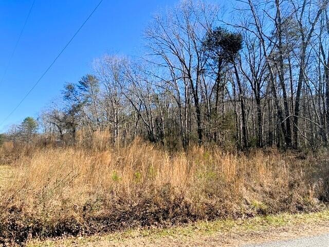 4 Boyd Road Benton, TN 37307 - Photo 3 of 7