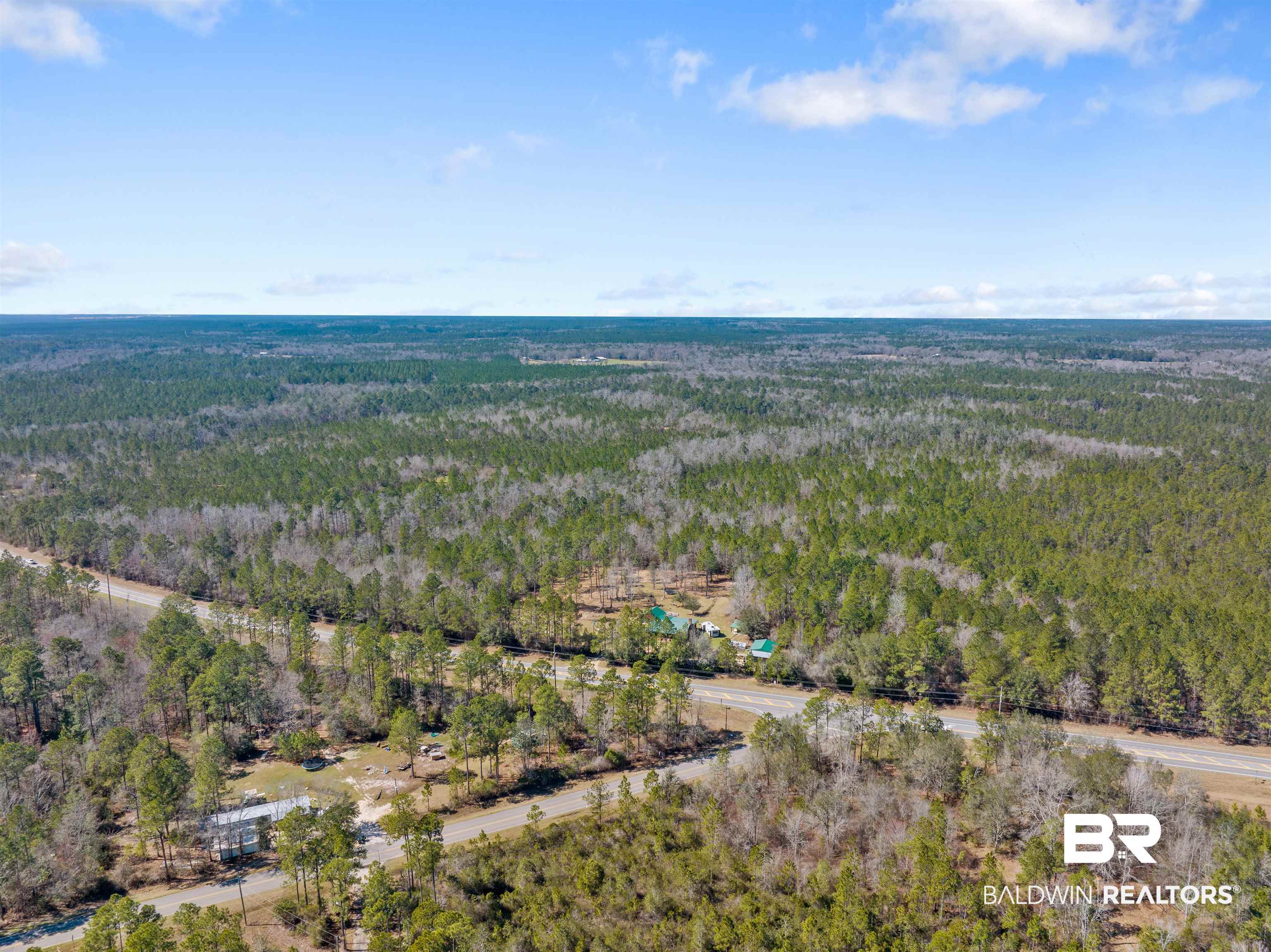 51699 Highway 31 Perdido, AL 36562 - Photo 27 of 30 Birds eye view of property with a view of trees