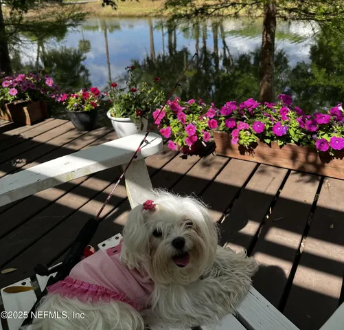 a front view of a house with a yard table and chairs