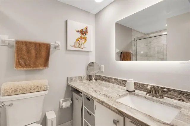 a bathroom with a granite countertop sink a toilet and a mirror