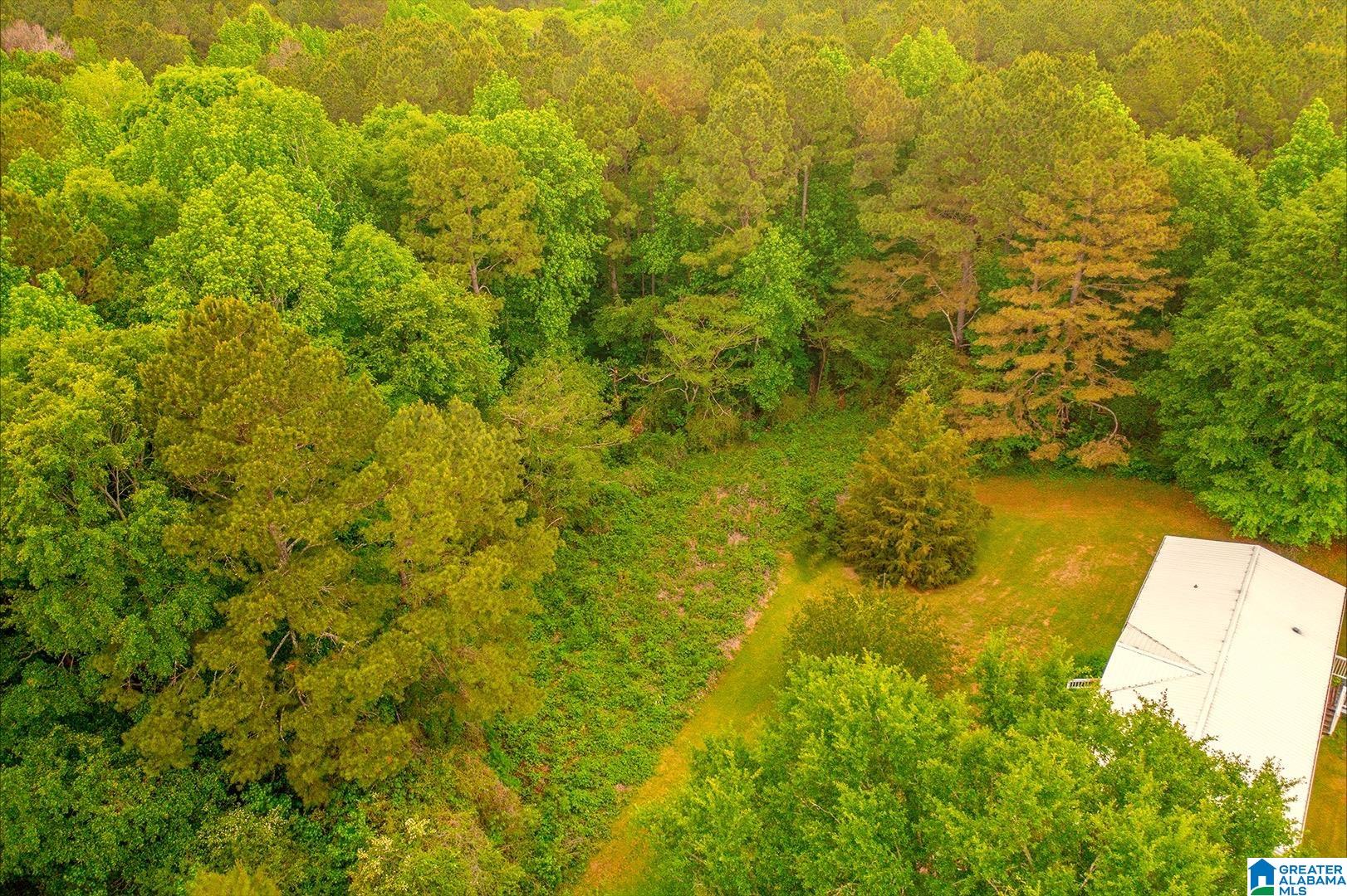 0 Spunky Hollow Road, Unit 1 Trafford, AL 35172 - Photo 7 of 14 Gallery Image 7