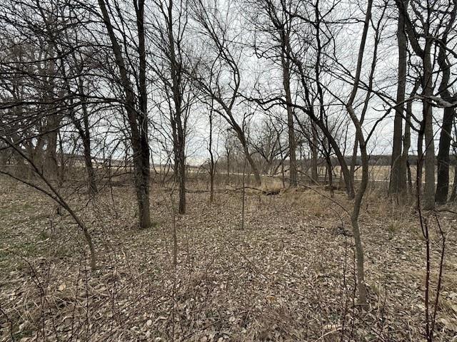 10.72-acres North 800 Road Baldwin City, KS 66006 - Photo 6 of 11