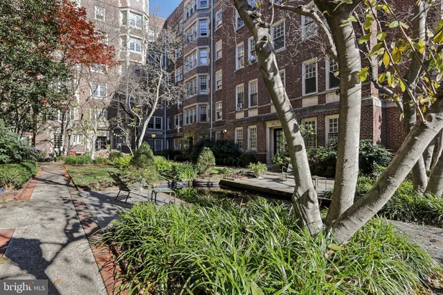 a view of yard with large trees
