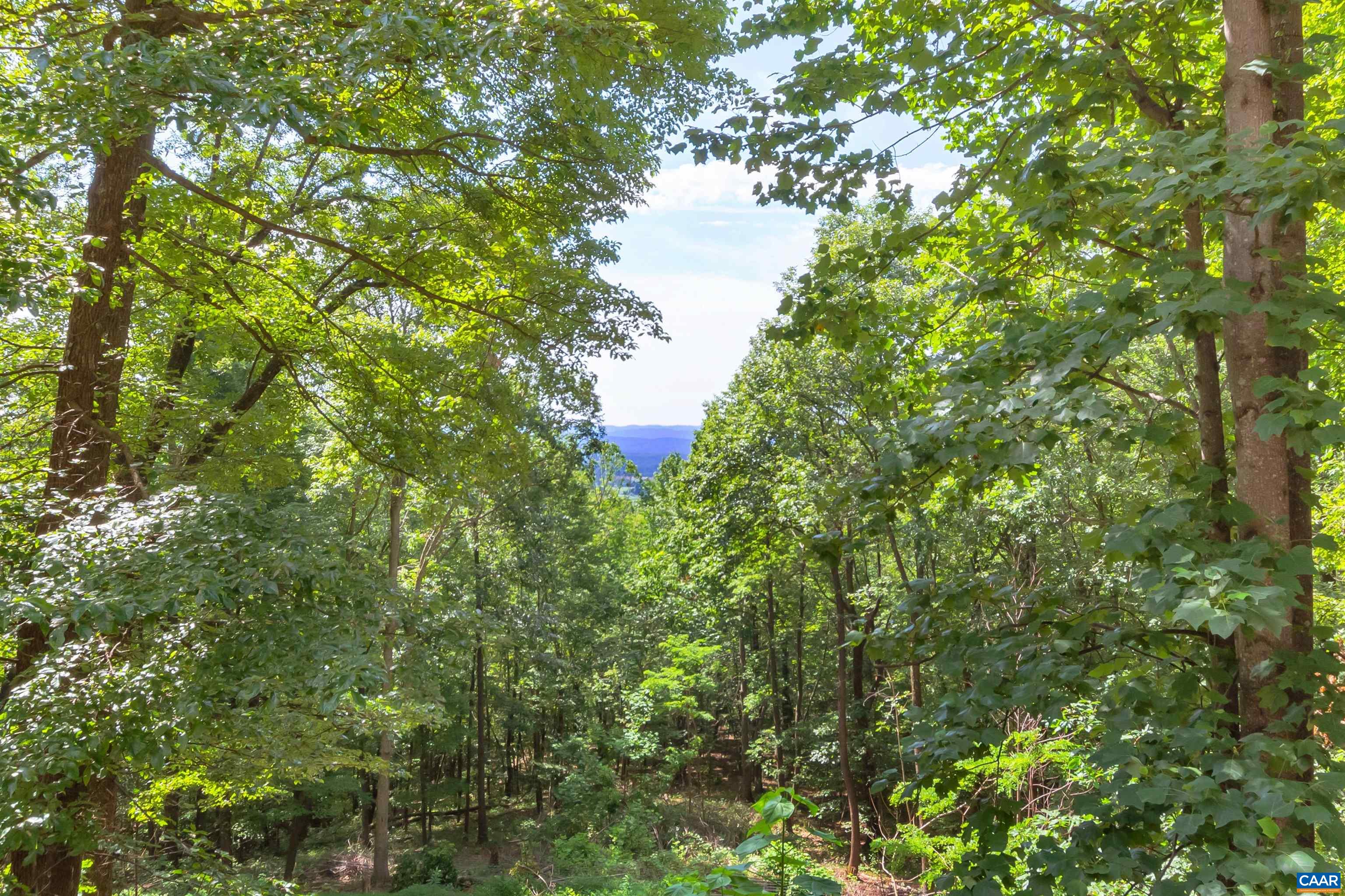 2236 White Hall Road Crozet, VA 22932 - Photo 34 of 60 Gallery Image 34