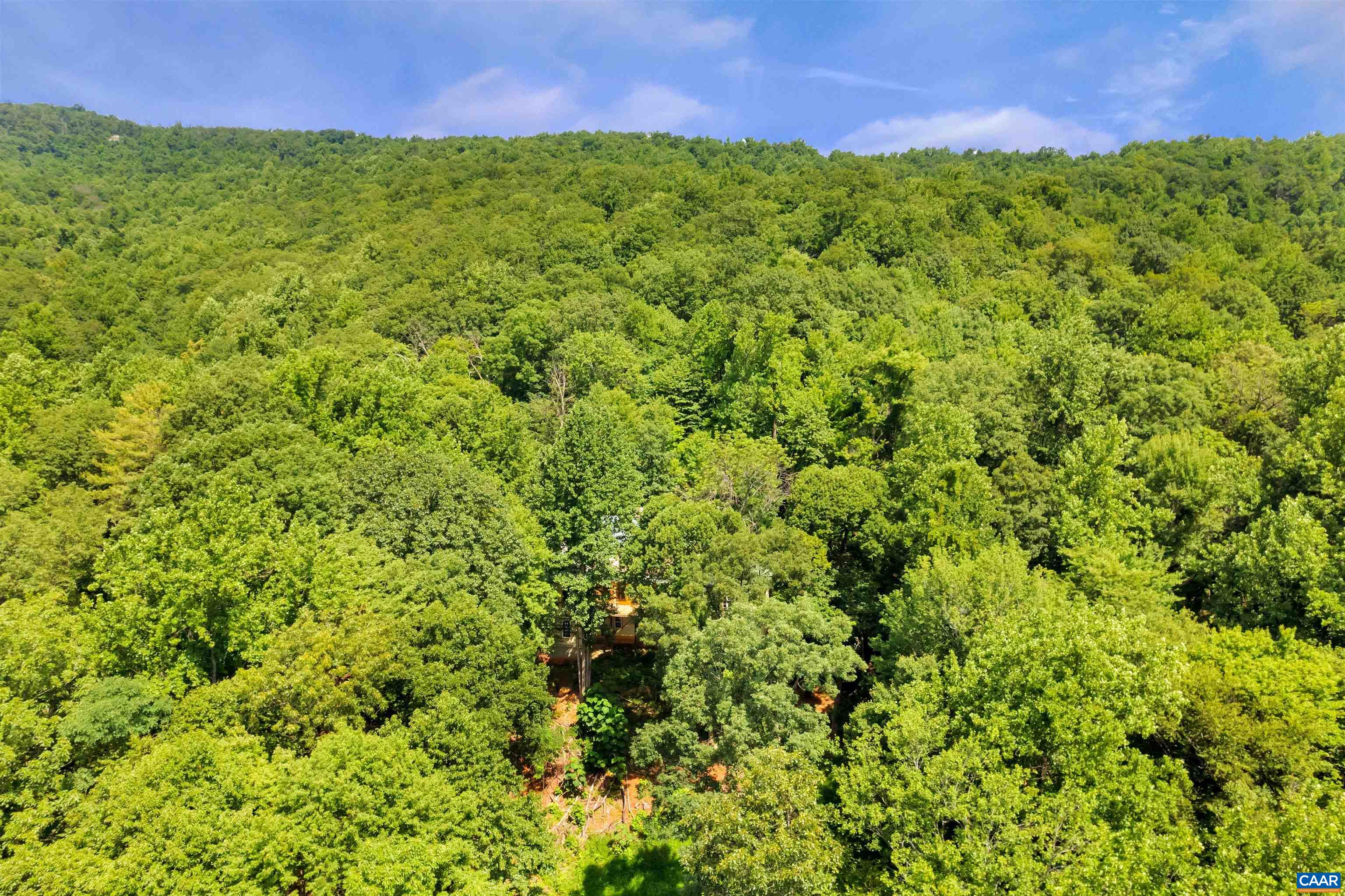 2236 White Hall Road Crozet, VA 22932 - Photo 53 of 60 Gallery Image 53