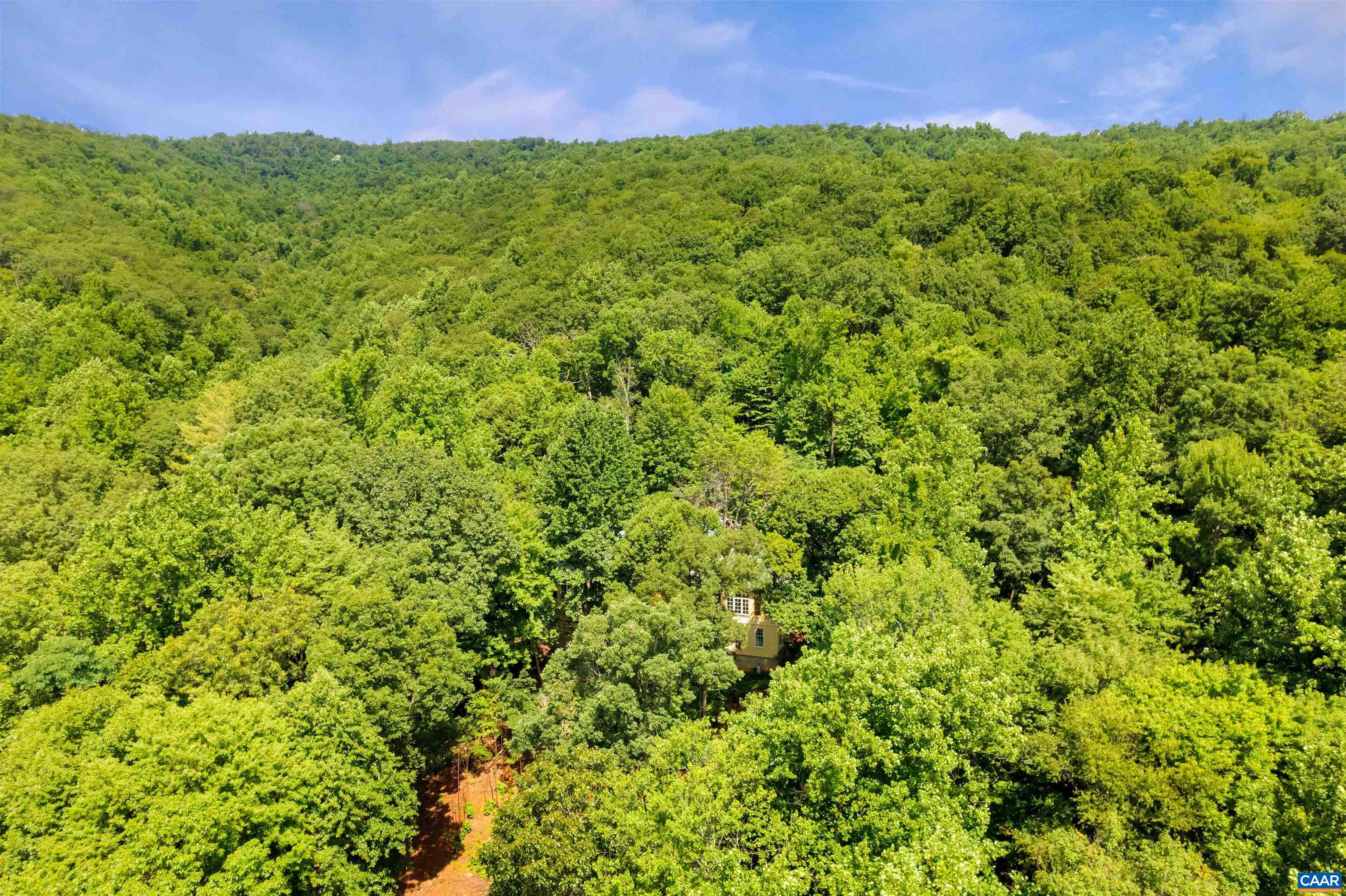 2236 White Hall Road Crozet, VA 22932 - Photo 56 of 60 Gallery Image 56