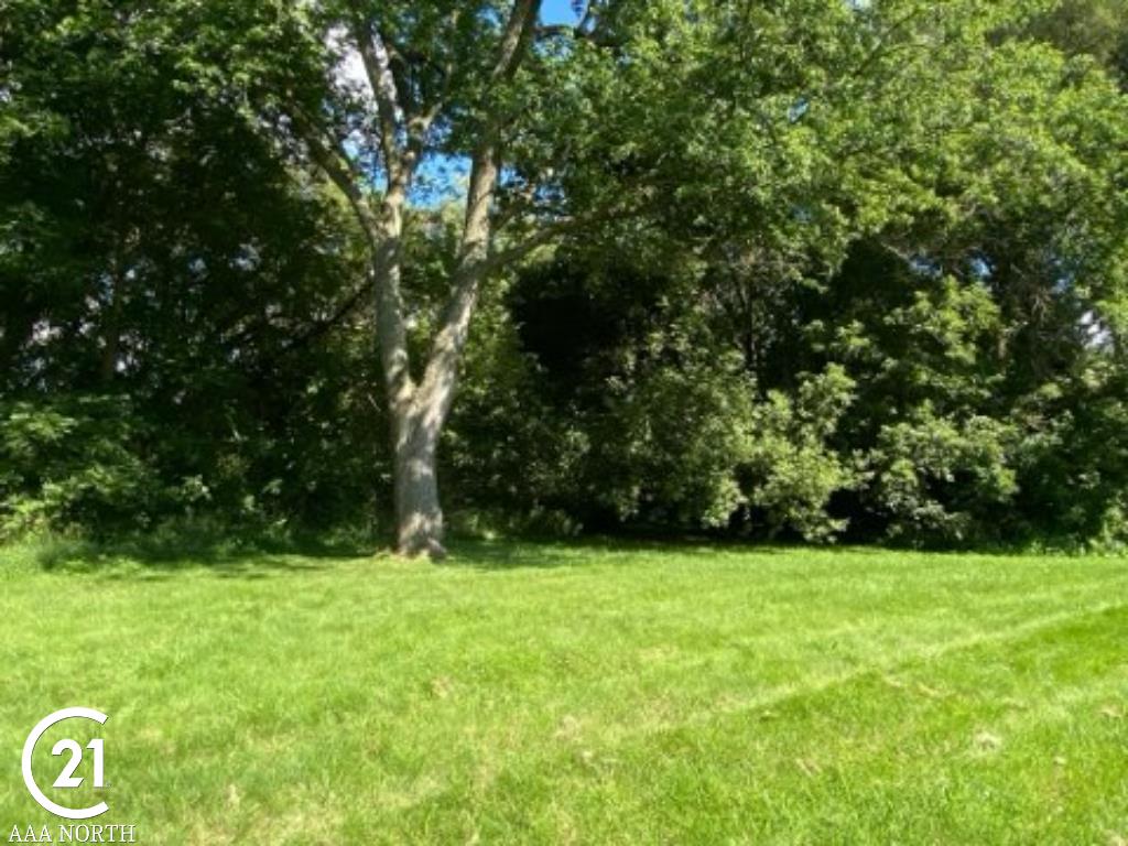 72050 Van Dyke Road Romeo, MI 48065 - Photo 7 of 47