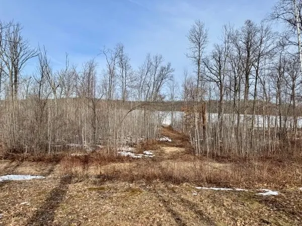 $475,000 | Lot 4-blk 216th Place, McGregor, MN 55760