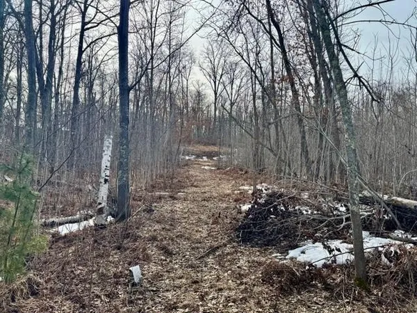 $475,000 | Lot 4-blk 216th Place, McGregor, MN 55760