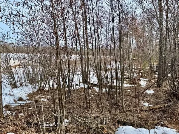 $475,000 | Lot 4-blk 216th Place, McGregor, MN 55760