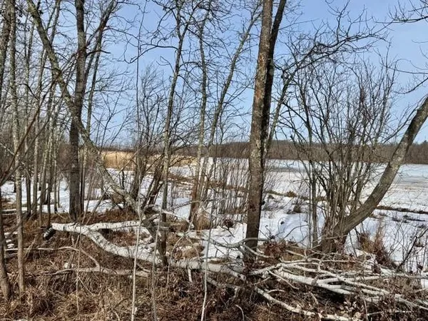 $475,000 | Lot 4-blk 216th Place, McGregor, MN 55760