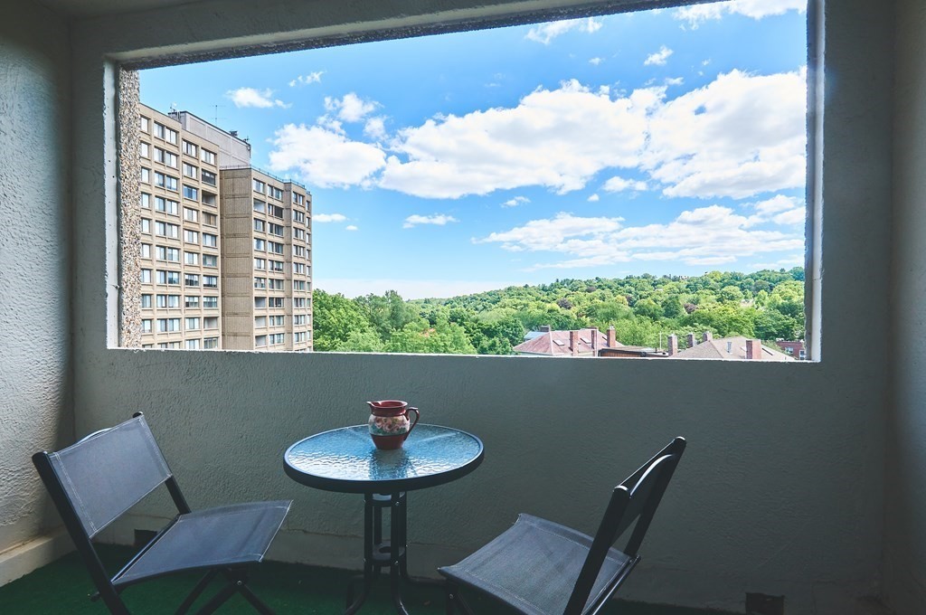 1731 Beacon Street, Unit 723 Brookline, MA 02445 - Photo 12 of 16
