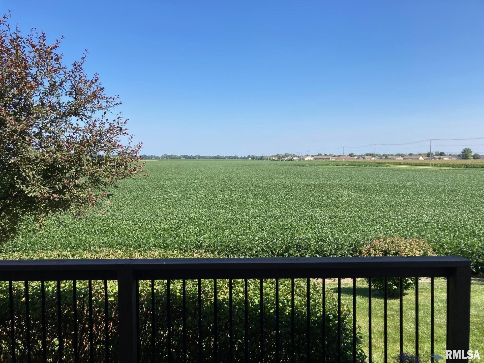 2702 Johnathan Place Springfield, IL 62711 - Photo 37 of 38