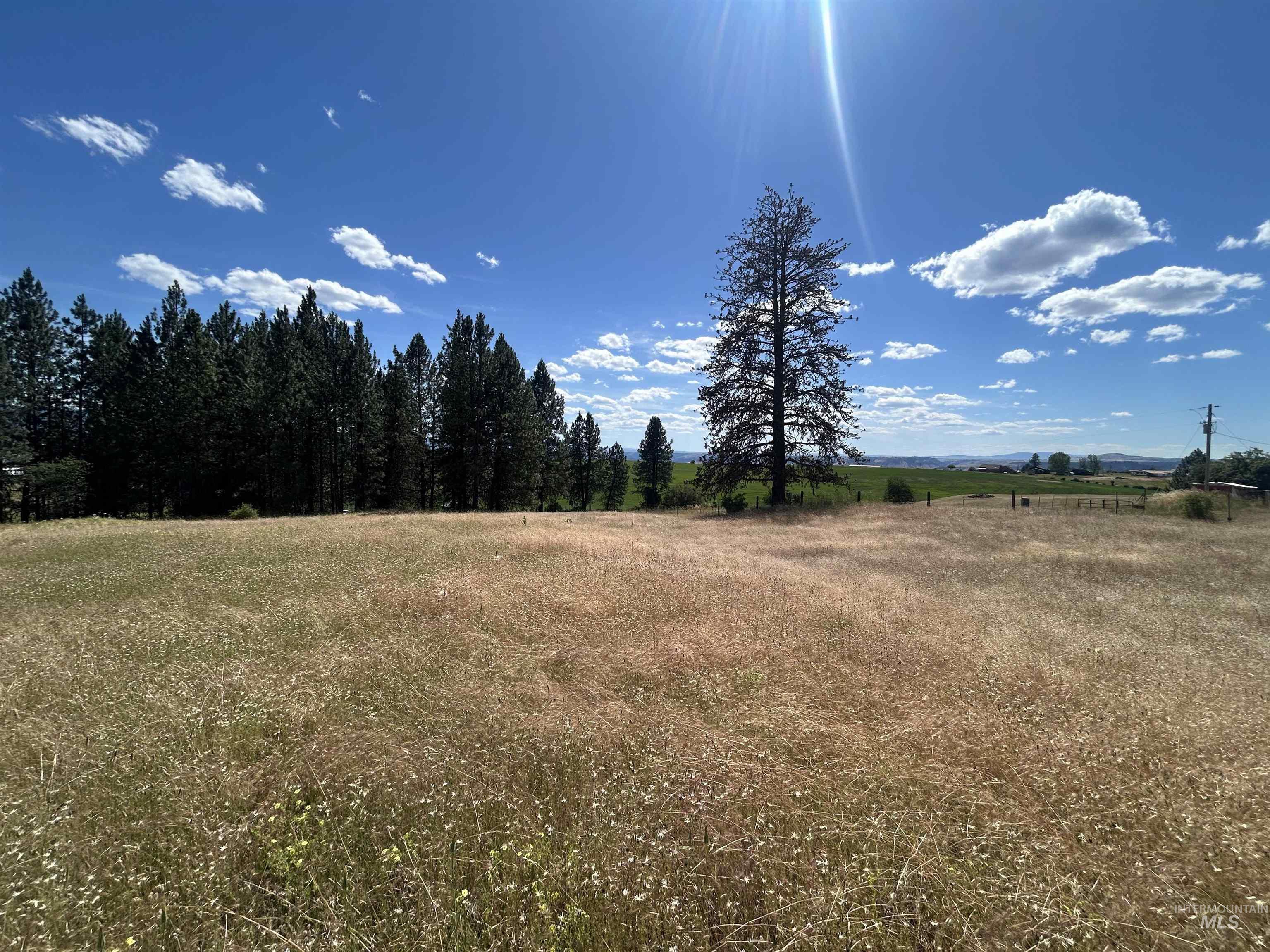 Tbd Lot 2 Tbd Road Kooskia, ID 83539 - Photo 6 of 15
