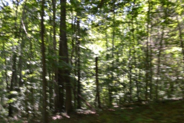 0 Pea Ridge Fire Tower Road Celina, TN 38551 - Photo 11 of 53