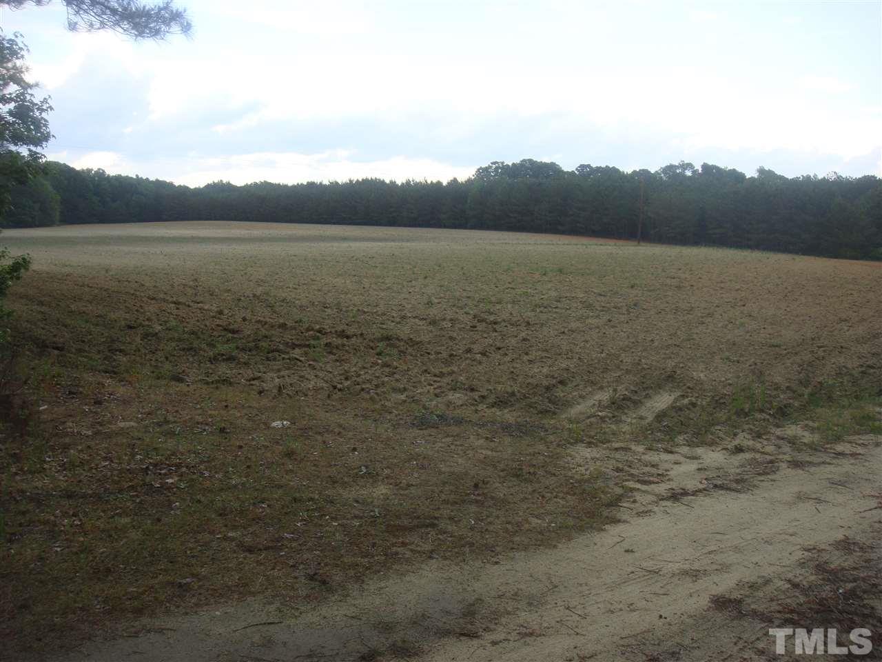 7413 Mt Pleasant Road Willow Spring, NC 27592 - Photo 1 of 4 Gallery Image 1