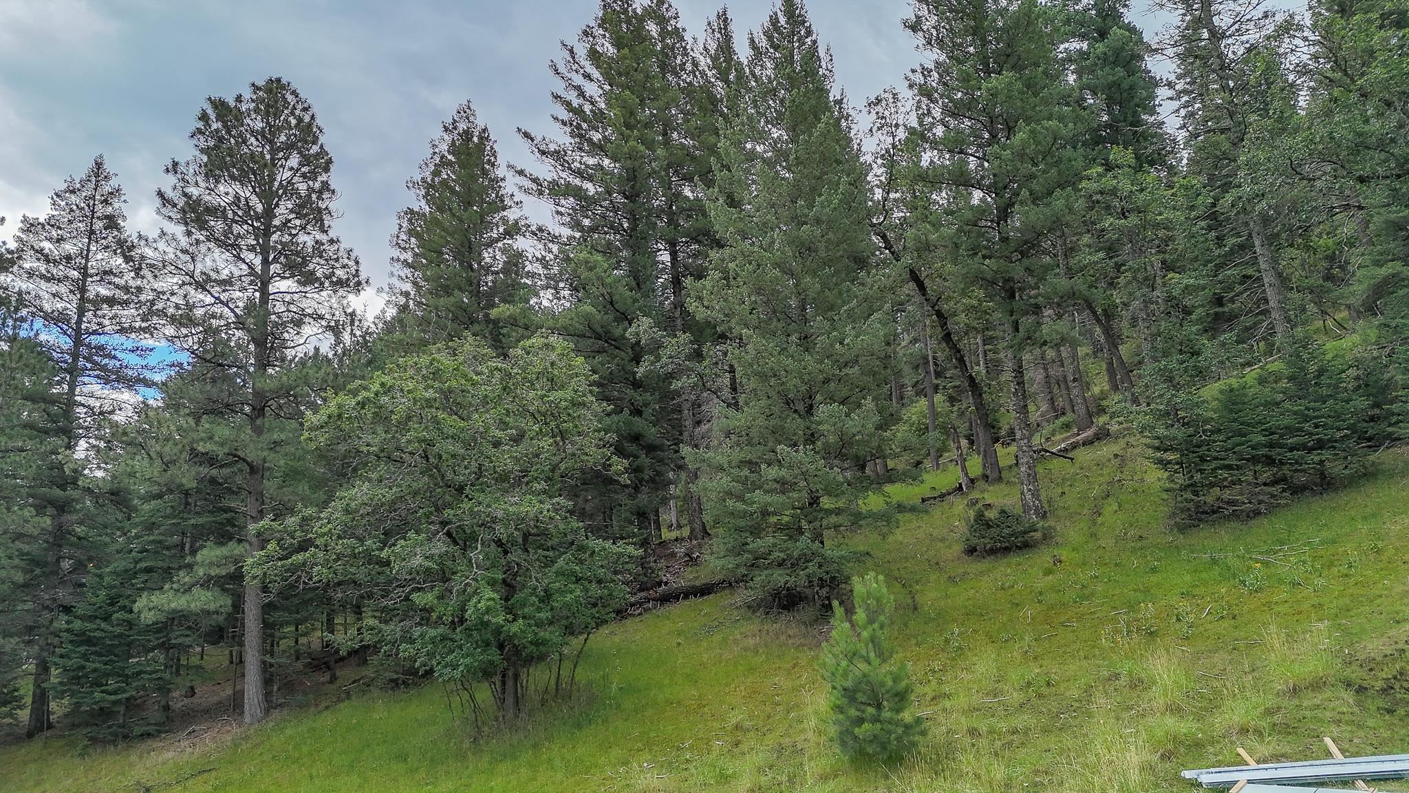 Lot 40 Trading Post Road Cloudcroft, NM 88317 - Photo 7 of 12 Gallery Image 7