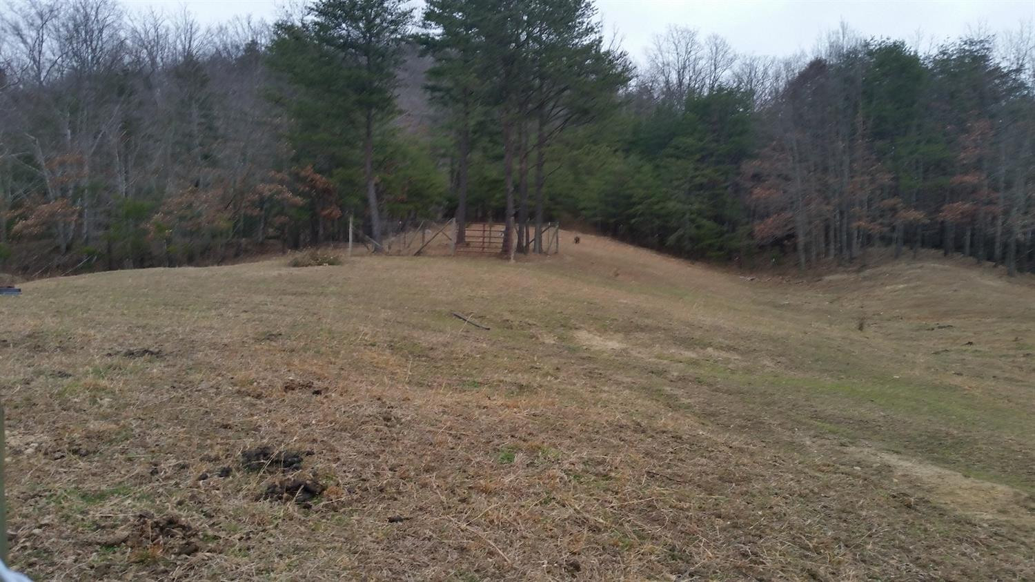 210 Elmer Henry Road Means, KY 40346 - Photo 60 of 65 Photo 60