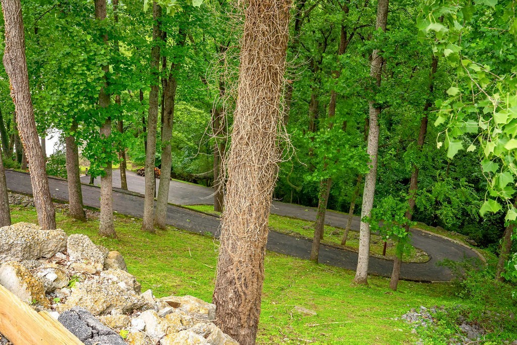 231 Green Harbor Road, Unit 141 Old Hickory, TN 37138 - Photo 37 of 40 a view of a backyard with a garden