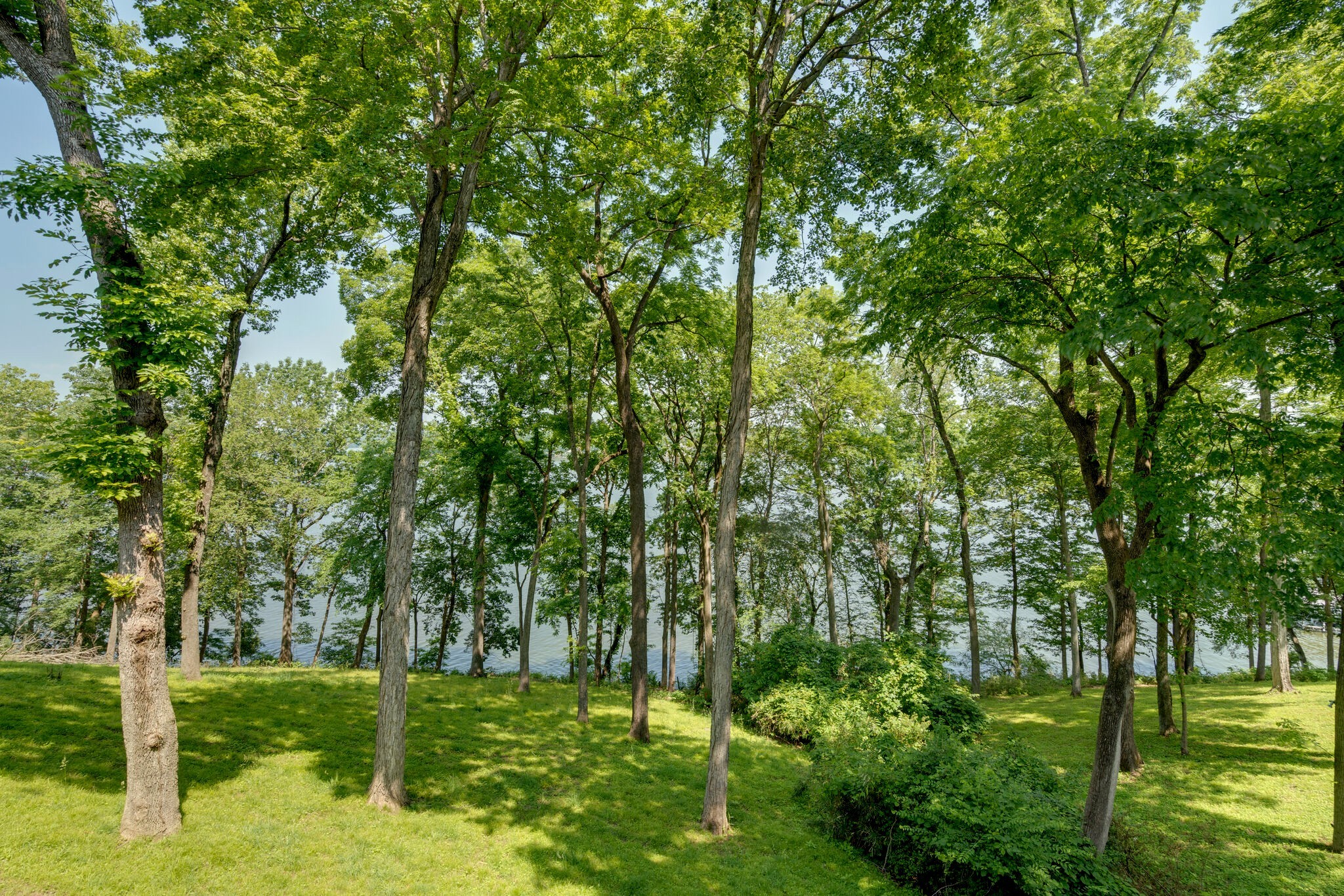 231 Green Harbor Road, Unit 141 Old Hickory, TN 37138 - Photo 7 of 40 a view of a park with large trees