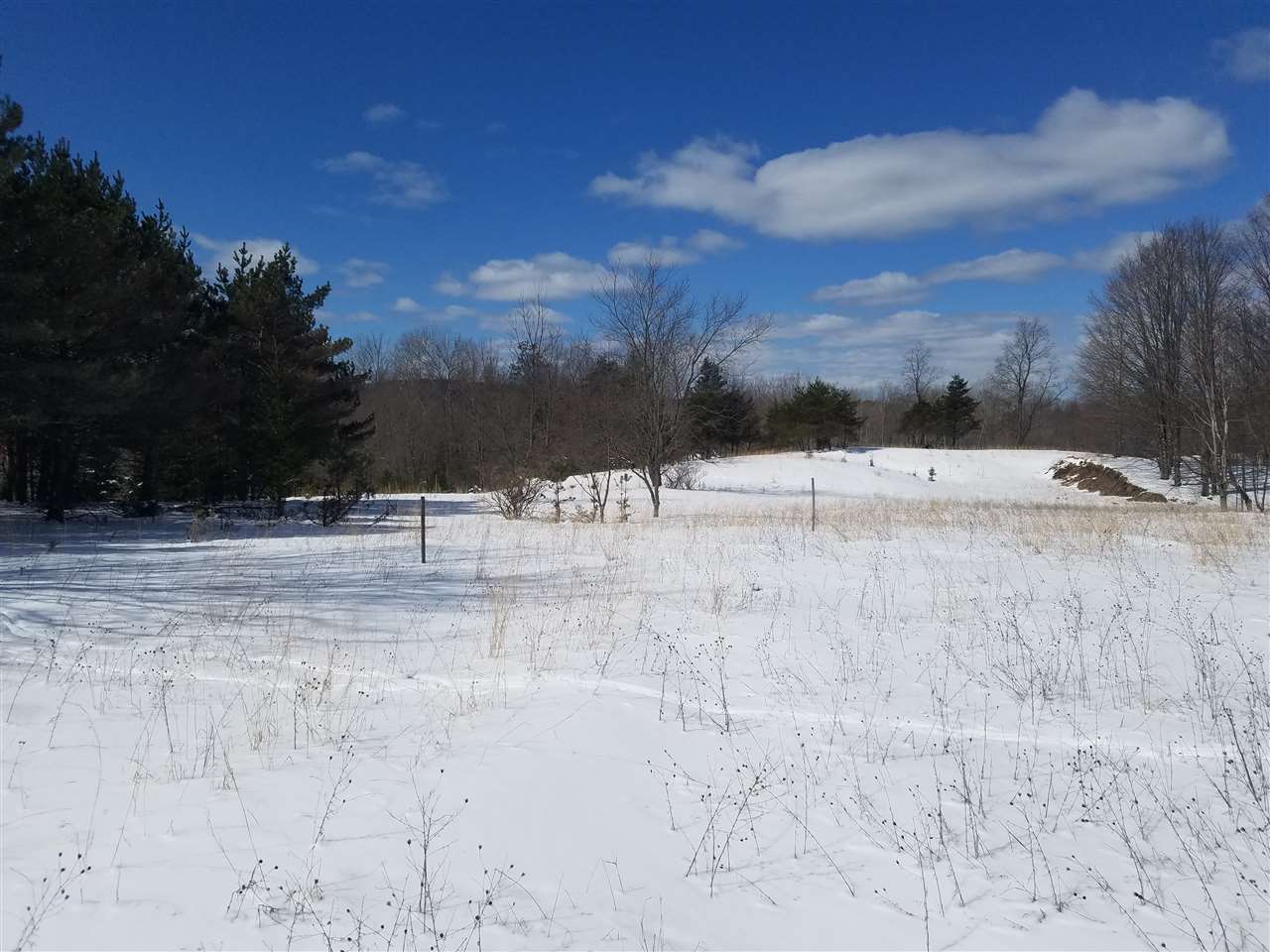 2412 South 15 Road Harrietta, MI 49638 - Photo 12 of 42 1844609-11.JPG