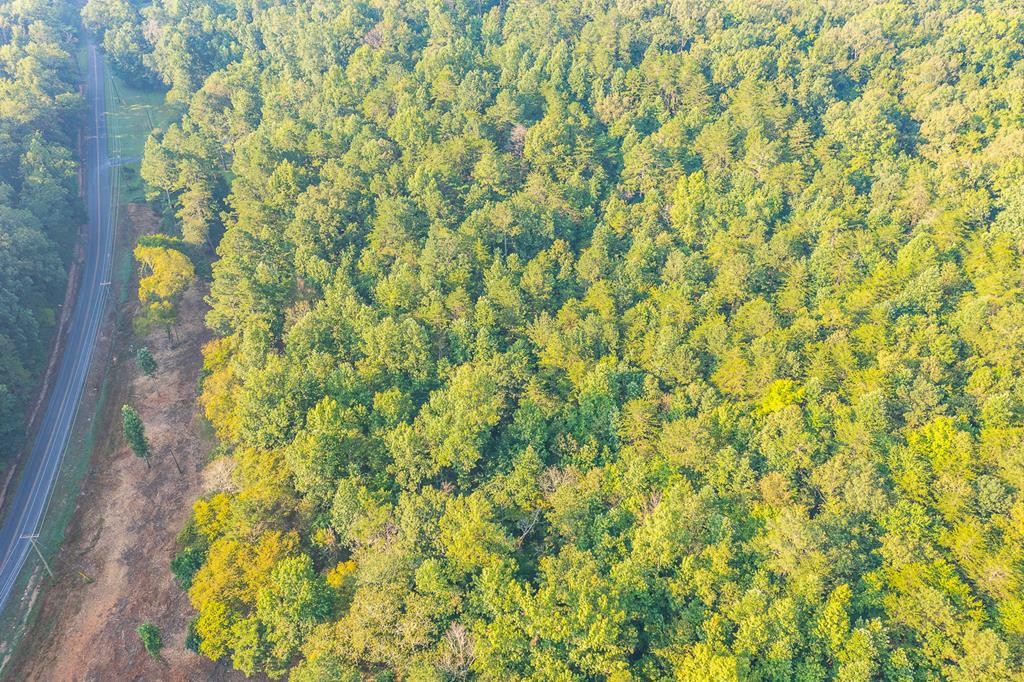 43 Quarles Road Rocky Face, GA 30740 - Photo 1 of 3