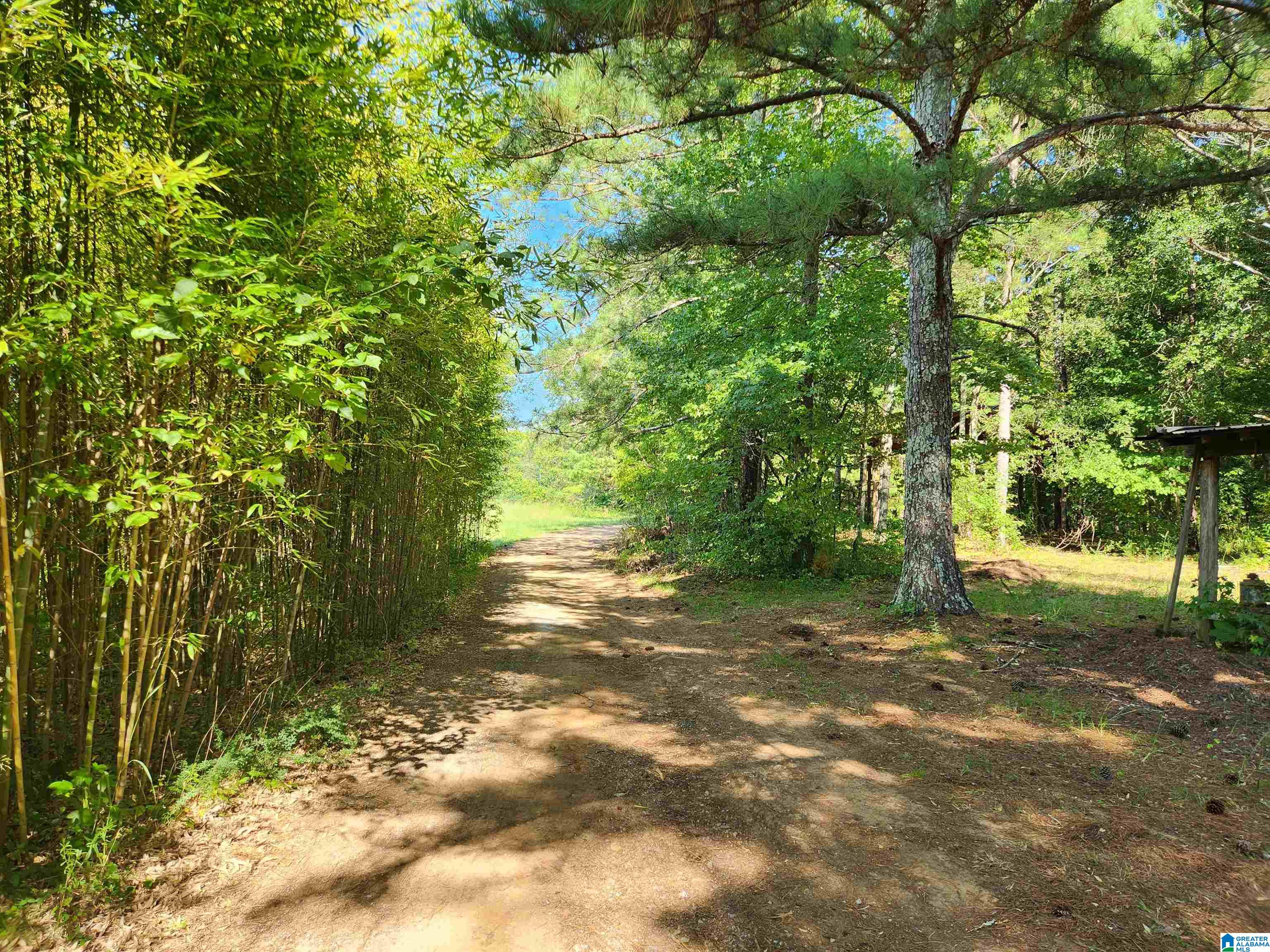 14843 Gallant Road Gallant, AL 35972 - Photo 85 of 100